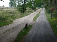 Kleine Koningsbelt von Haarle