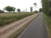 Kleine Koningsbelt von Haarle