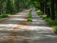 Schouwenburgweg