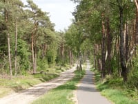 Holterberg par Plaggenweg