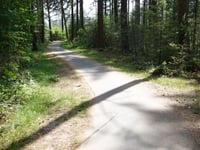 Holterberg par Plaggenweg