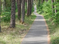 Holterberg über Vossenweg