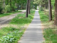 Holterberg über Vossenweg