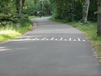 De Koerbelt por Middeldijk