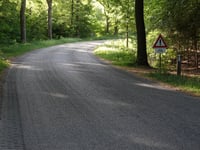 De Koerbelt por Middeldijk
