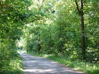 De Koerbelt da Arend Baanstraat