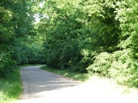 Rijsserberg von Rijssen