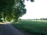 Friezenberg über Lentfersweg