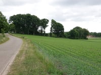 Markelose Berg von Langeweg