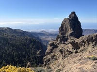 Pico de las Nieves