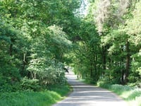 Zuurberg / Kwintenweg von Beuseberg