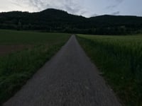 Hüstlerhof