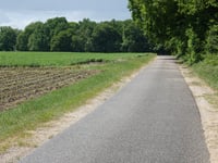 Needse Berg via De Venneriet