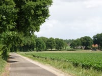 Needse Berg via De Venneriet