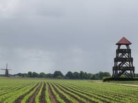 Needse Berg via De Venneriet