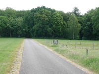 Needse Berg via Kerkhofsweg