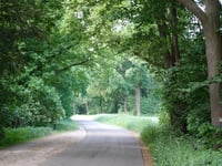 Needse Berg via Kerkhofsweg