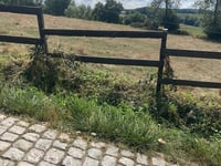 Paterberg