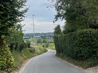 Kanarieberg