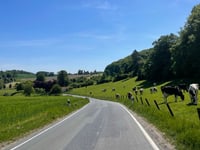 Sudenfelder Strasse über Schollbrucher Strasse