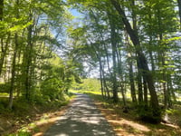 Looser Berg von Hasbergener Strasse