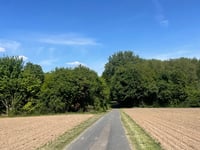Stapenhorststrasse desde Gut Stapenhorst