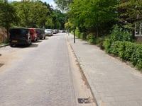 Paasberg über Bosweg