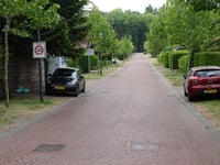 Paasberg via Burgemeester Wittewaallweg