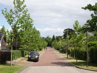 Paasberg por Doctor Cartier van Disselweg