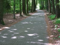 Paasberg por Doctor Cartier van Disselweg