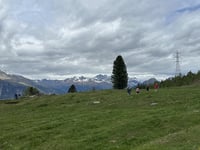 Mortirolo über Monno