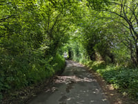 Côte du Bois de la Hees via Rue Vivier