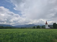 Savoš from Liptovská Mara
