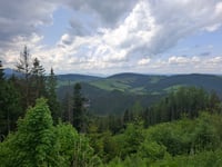 Savoš from Liptovská Mara