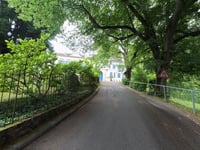 Schloss Heiligenberg da Jugenheim