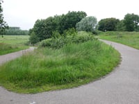 Spaarnwoude heuvel West