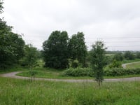 Spaarnwoude heuvel West