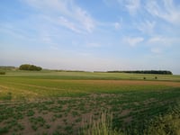 Bois de Corenne von Biesmerée