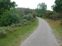 Dronkendel da Bloemendaal