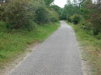 Dronkendel da Bloemendaal
