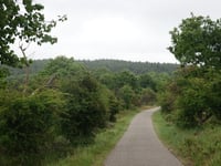 Dronkendel da Bloemendaal