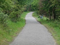 Dronkendel da Bloemendaal