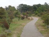 Dronkendel da Bloemendaal aan Zee