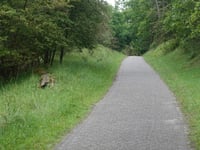 Dronkendel depuis Bloemendaal aan Zee