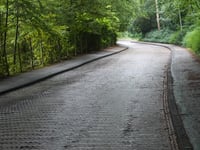 Kopje van Bloemendaal