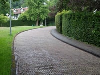 Kopje van Bloemendaal via Koninginneduinweg