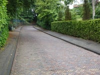 Kopje van Bloemendaal via Koninginneduinweg