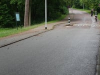 Kopje van Aerdenhout West
