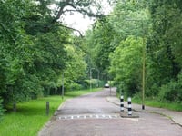 Kopje van Aerdenhout West