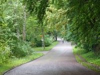 Kopje van Aerdenhout Sud